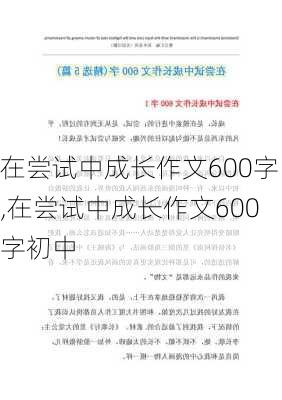 在尝试中成长作文600字,在尝试中成长作文600字初中