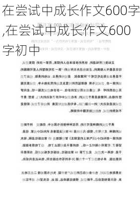 在尝试中成长作文600字,在尝试中成长作文600字初中