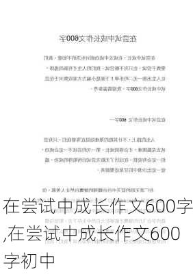 在尝试中成长作文600字,在尝试中成长作文600字初中