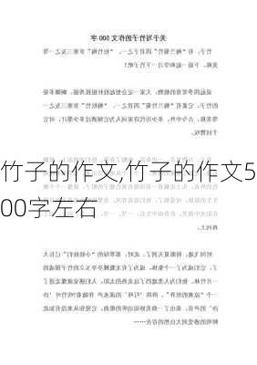 竹子的作文,竹子的作文500字左右