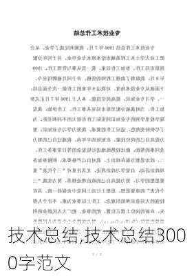 技术总结,技术总结3000字范文