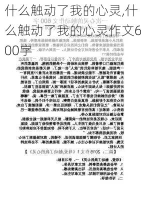 什么触动了我的心灵,什么触动了我的心灵作文600字