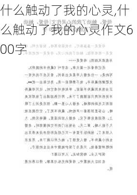 什么触动了我的心灵,什么触动了我的心灵作文600字