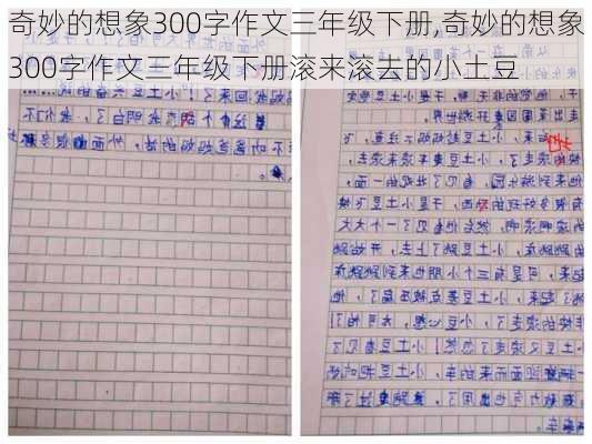 奇妙的想象300字作文三年级下册,奇妙的想象300字作文三年级下册滚来滚去的小土豆