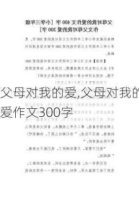 父母对我的爱,父母对我的爱作文300字