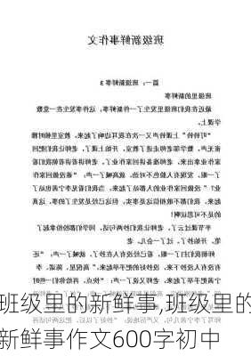 班级里的新鲜事,班级里的新鲜事作文600字初中