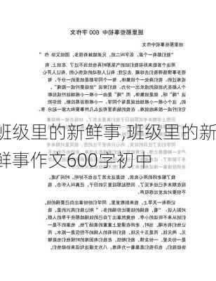 班级里的新鲜事,班级里的新鲜事作文600字初中