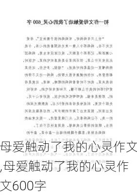 母爱触动了我的心灵作文,母爱触动了我的心灵作文600字