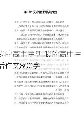 我的高中生活,我的高中生活作文800字