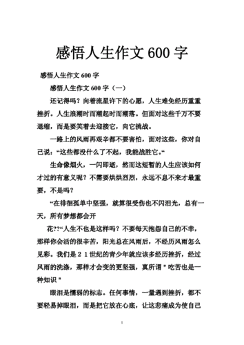 我的人生感悟,我的人生感悟作文600字