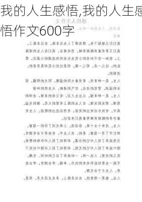 我的人生感悟,我的人生感悟作文600字