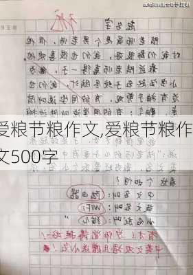 爱粮节粮作文,爱粮节粮作文500字