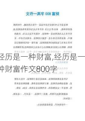 经历是一种财富,经历是一种财富作文800字