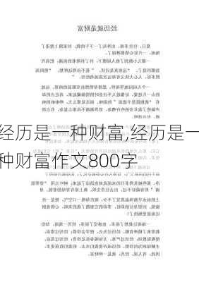 经历是一种财富,经历是一种财富作文800字