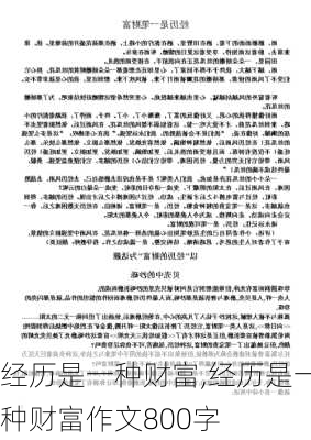 经历是一种财富,经历是一种财富作文800字