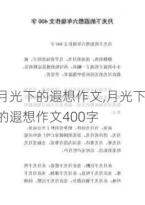 月光下的遐想作文,月光下的遐想作文400字