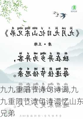 九九重阳节诗句诗词,九九重阳节诗句诗词忆山东兄弟