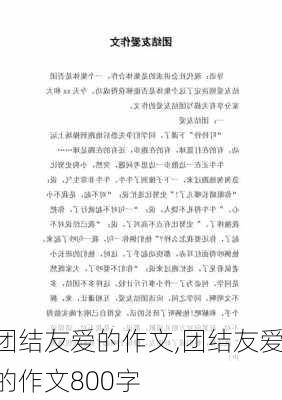 团结友爱的作文,团结友爱的作文800字