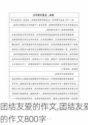 团结友爱的作文,团结友爱的作文800字