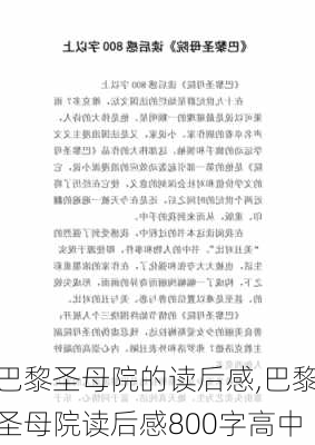 巴黎圣母院的读后感,巴黎圣母院读后感800字高中