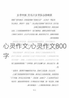 心灵作文,心灵作文800字