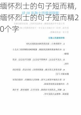 缅怀烈士的句子短而精,缅怀烈士的句子短而精20个字