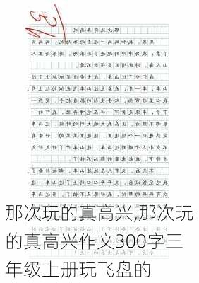 那次玩的真高兴,那次玩的真高兴作文300字三年级上册玩飞盘的