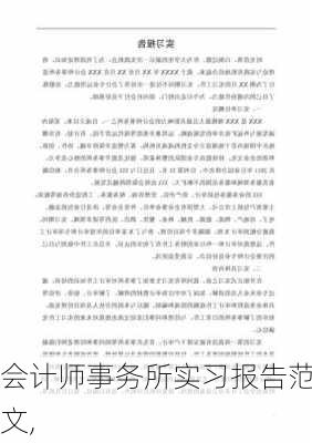 会计师事务所实习报告范文,