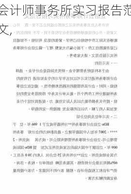 会计师事务所实习报告范文,