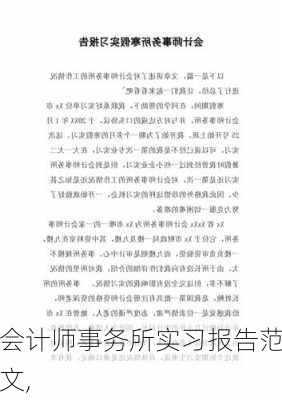 会计师事务所实习报告范文,