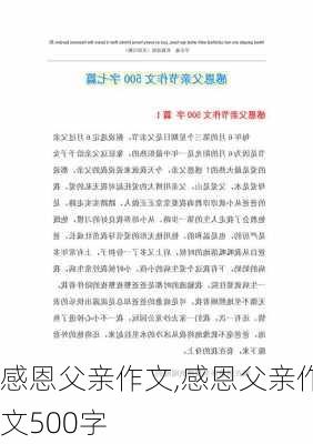 感恩父亲作文,感恩父亲作文500字