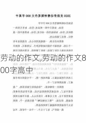 劳动的作文,劳动的作文800字高中