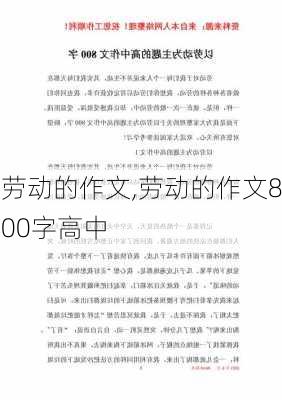 劳动的作文,劳动的作文800字高中