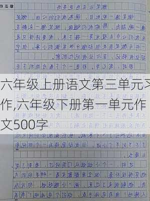 六年级上册语文第三单元习作,六年级下册第一单元作文500字