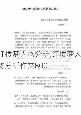 红楼梦人物分析,红楼梦人物分析作文800