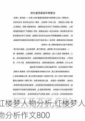 红楼梦人物分析,红楼梦人物分析作文800