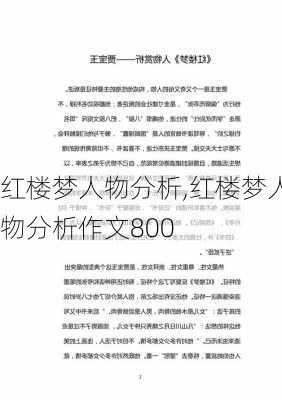 红楼梦人物分析,红楼梦人物分析作文800